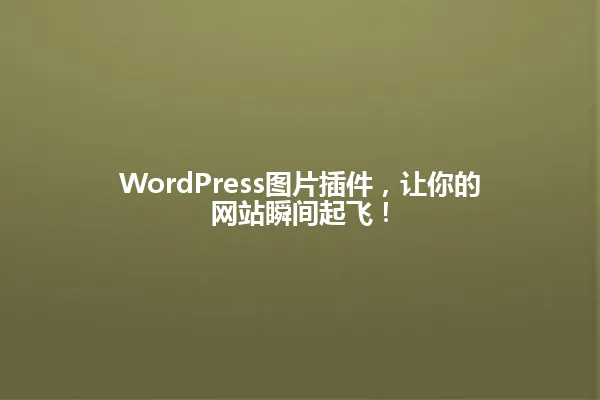 WordPress图片插件，让你的网站瞬间起飞！ 一