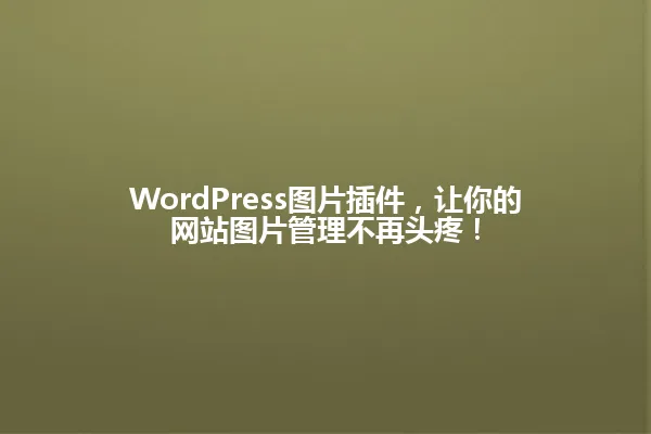 WordPress图片插件,让你的网站图片管理不再头疼! 一