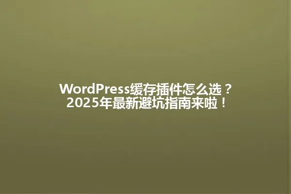 WordPress缓存插件怎么选?2025年最新避坑指南来啦! 一