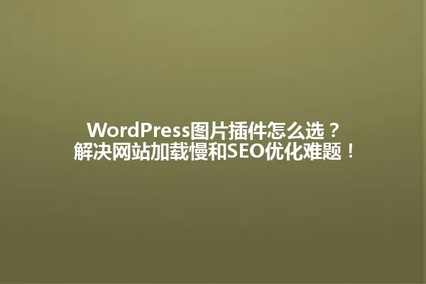 WordPress图片插件怎么选?解决网站加载慢和SEO优化难题! 一