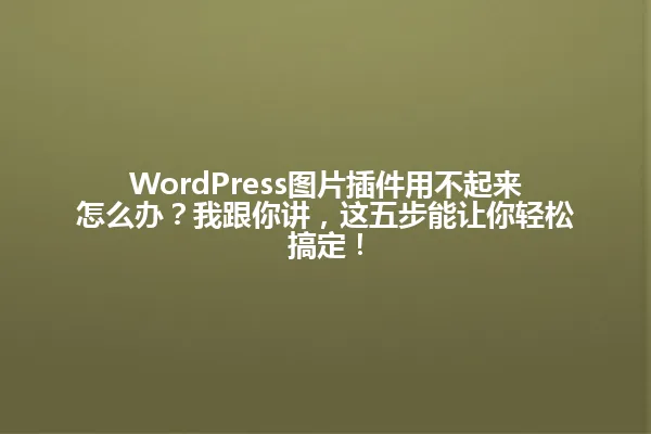 WordPress图片插件用不起来怎么办?我跟你讲,这五步能让你轻松搞定! 一