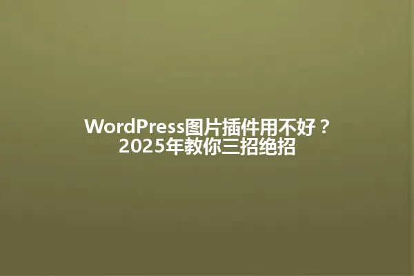 WordPress图片插件用不好?2025年教你三招绝招 一