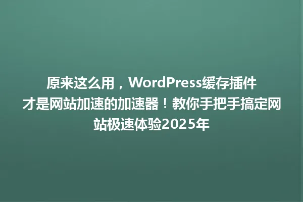 原来这么用,WordPress缓存插件才是网站加速的加速器!教你手把手搞定网站极速体验2025年 一