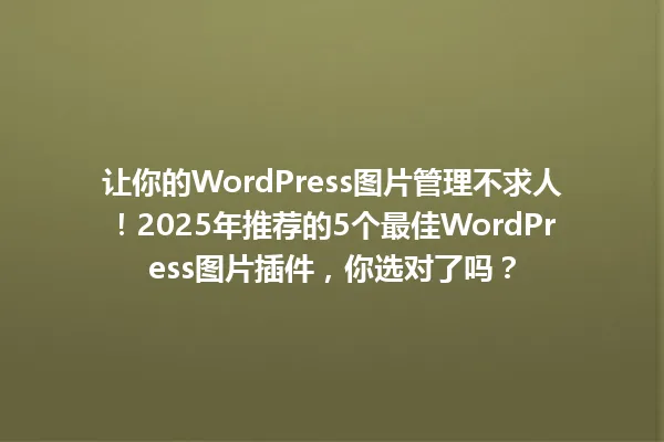 让你的WordPress图片管理不求人！2025年推荐的5个最佳WordPress图片插件，你选对了吗？ 一