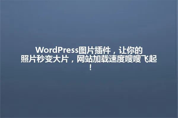 WordPress图片插件，让你的照片秒变大片，网站加载速度嗖嗖飞起！ 一