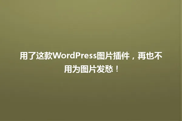 用了这款WordPress图片插件,再也不用为图片发愁! 一