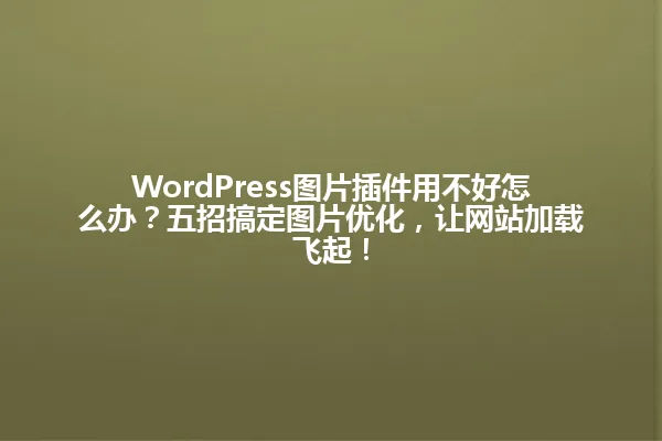 WordPress图片插件用不好怎么办?五招搞定图片优化,让网站加载飞起! 一