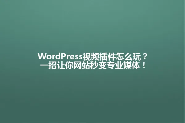 WordPress视频插件怎么玩?一招让你网站秒变专业媒体! 一