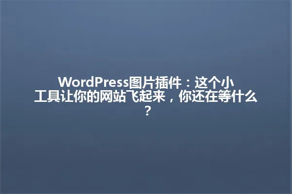 WordPress图片插件：这个小工具让你的网站飞起来，你还在等什么？ 一