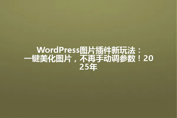 WordPress图片插件新玩法:一键美化图片,不再手动调参数!2025年 一
