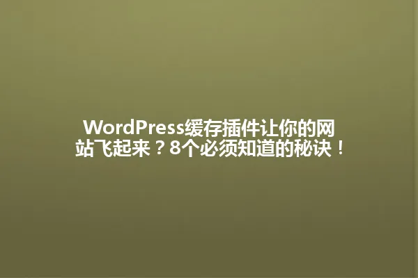 WordPress缓存插件让你的网站飞起来？8个必须知道的秘诀！ 一