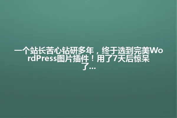 一个站长苦心钻研多年,终于选到完美WordPress图片插件!用了7天后惊呆了... 一