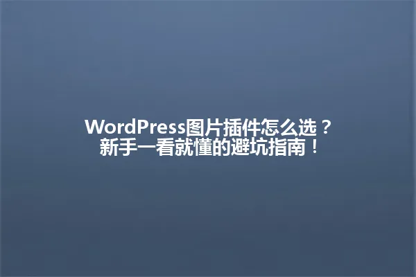 WordPress图片插件怎么选?新手一看就懂的避坑指南! 一