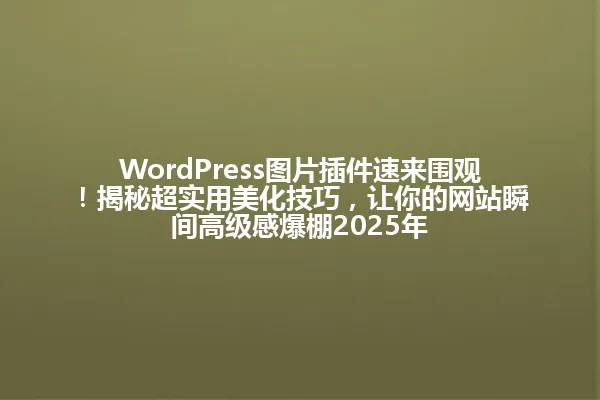 WordPress图片插件速来围观！揭秘超实用美化技巧，让你的网站瞬间高级感爆棚2025年 一