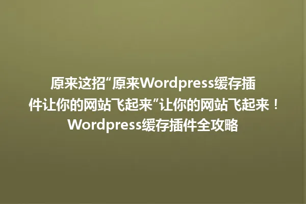 原来这招“原来Wordpress缓存插件让你的网站飞起来”让你的网站飞起来!Wordpress缓存插件全攻略 一