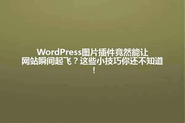 WordPress图片插件竟然能让网站瞬间起飞？这些小技巧你还不知道！ 一