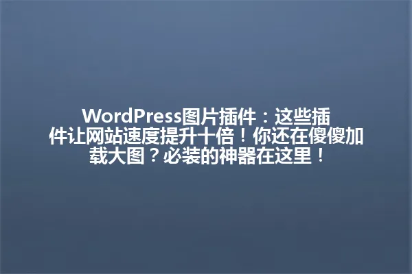 WordPress图片插件:这些插件让网站速度提升十倍!你还在傻傻加载大图?必装的神器在这里! 一