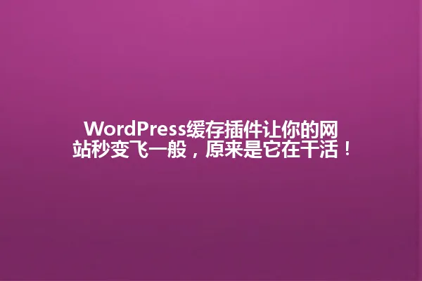 WordPress缓存插件让你的网站秒变飞一般,原来是它在干活! 一