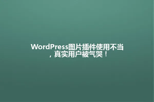 WordPress图片插件使用不当,真实用户被气哭! 一