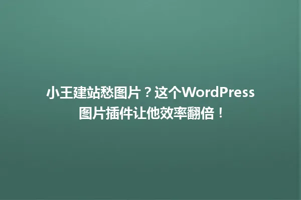 小王建站愁图片?这个WordPress图片插件让他效率翻倍! 一
