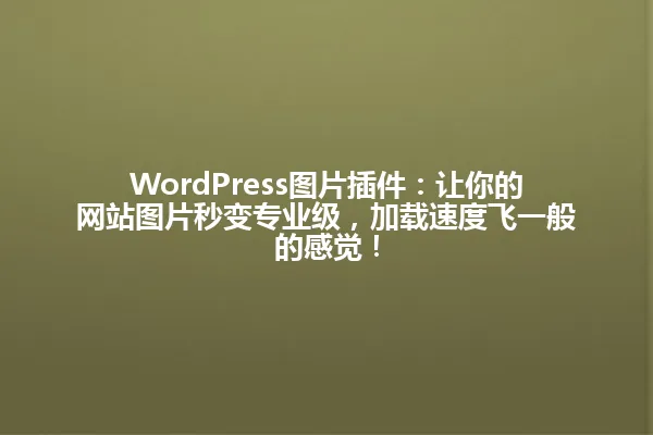 WordPress图片插件：让你的网站图片秒变专业级，加载速度飞一般的感觉！ 一
