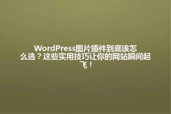 WordPress图片插件到底该怎么选?这些实用技巧让你的网站瞬间起飞! 一