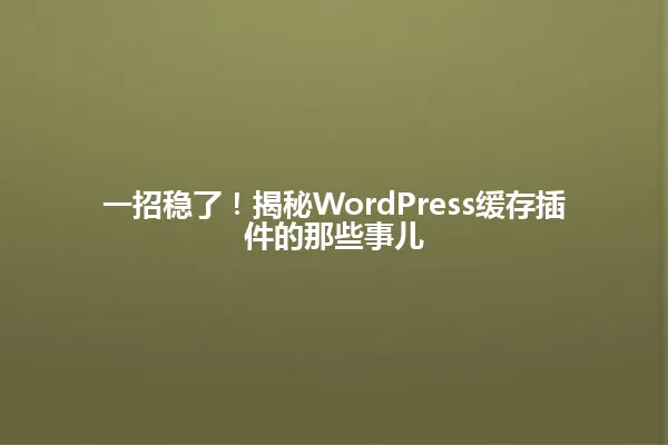 一招稳了!揭秘WordPress缓存插件的那些事儿 一