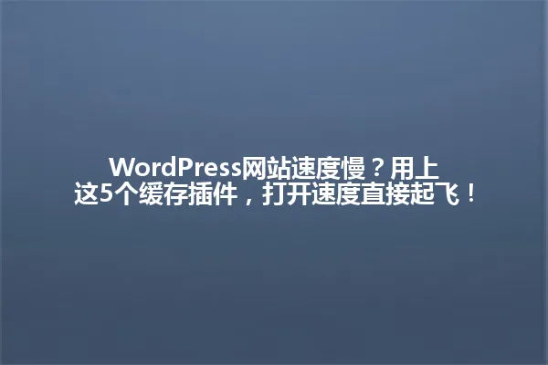 WordPress网站速度慢？用上这5个缓存插件，打开速度直接起飞！ 一