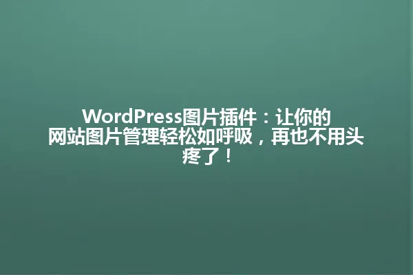 WordPress图片插件:让你的网站图片管理轻松如呼吸,再也不用头疼了! 一