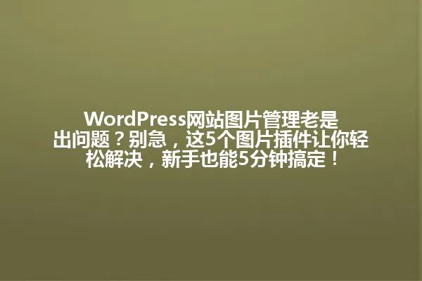 WordPress网站图片管理老是出问题?别急,这5个图片插件让你轻松解决,新手也能5分钟搞定! 一