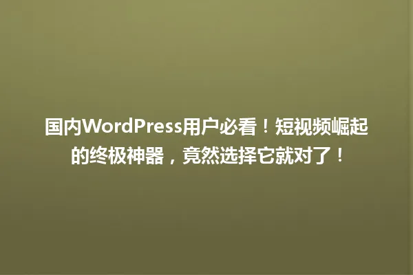 国内WordPress用户必看！短视频崛起的终极神器，竟然选择它就对了！ 一