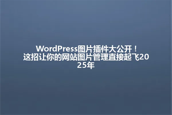 WordPress图片插件大公开!这招让你的网站图片管理直接起飞2025年 一
