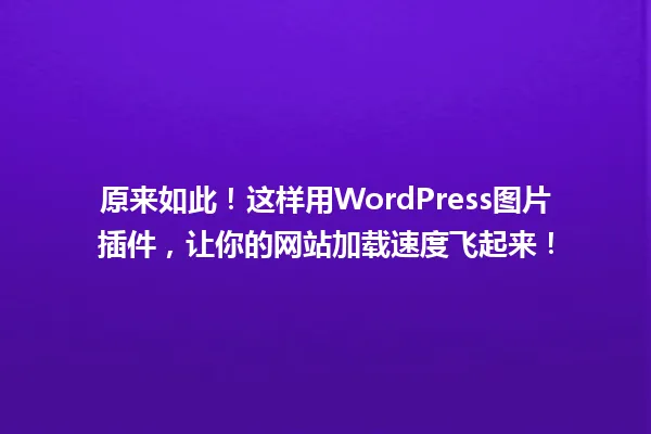 原来如此！这样用WordPress图片插件，让你的网站加载速度飞起来！ 一