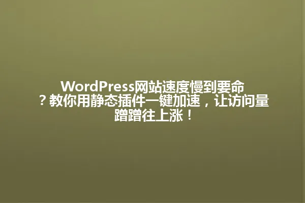 WordPress网站速度慢到要命？教你用静态插件一键加速，让访问量蹭蹭往上涨！ 一