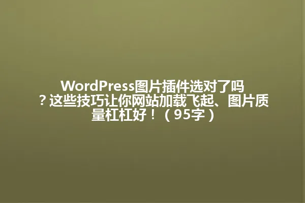 WordPress图片插件选对了吗？这些技巧让你网站加载飞起、图片质量杠杠好！（95字） 一