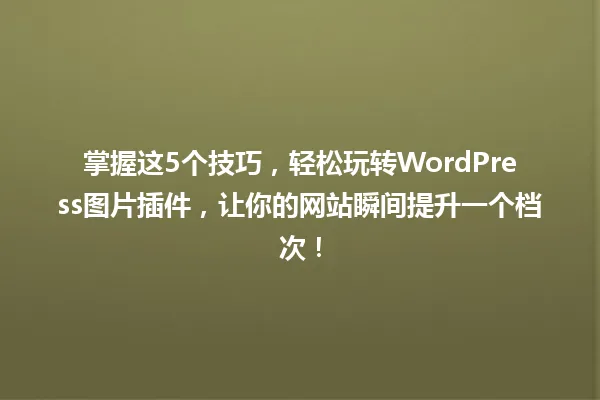 掌握这5个技巧,轻松玩转WordPress图片插件,让你的网站瞬间提升一个档次! 一