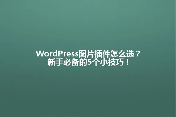 WordPress图片插件怎么选？新手必备的5个小技巧！ 一