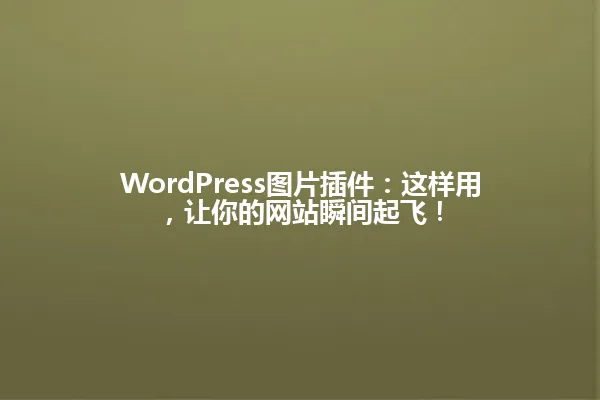 WordPress图片插件:这样用,让你的网站瞬间起飞! 一