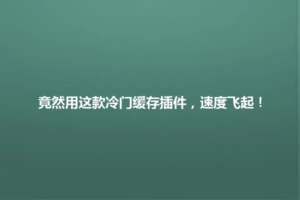 竟然用这款冷门缓存插件，速度飞起！ 一