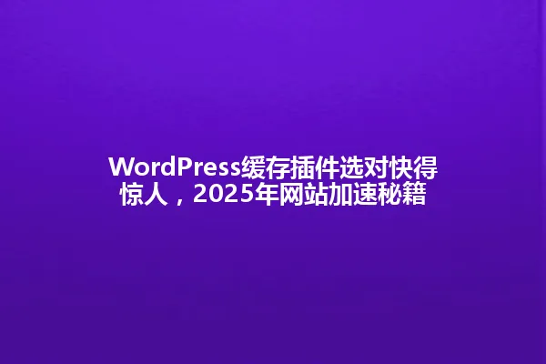 WordPress缓存插件选对快得惊人，2025年网站加速秘籍 一