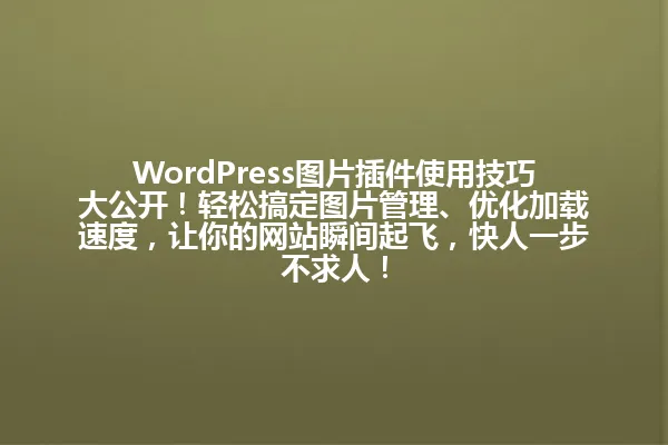WordPress图片插件使用技巧大公开!轻松搞定图片管理、优化加载速度,让你的网站瞬间起飞,快人一步不求人! 一