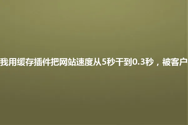 2025年,我用缓存插件把网站速度从5秒干到0.3秒,被客户疯狂夸赞! 一
