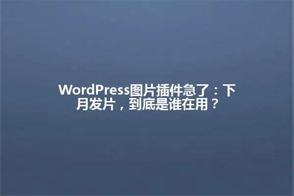 WordPress图片插件急了：下月发片，到底是谁在用？ 一