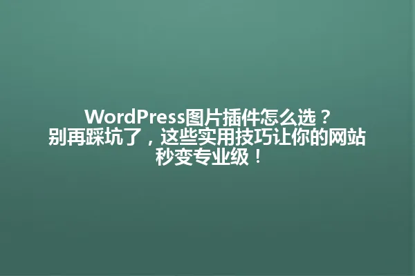 WordPress图片插件怎么选？别再踩坑了，这些实用技巧让你的网站秒变专业级！ 一