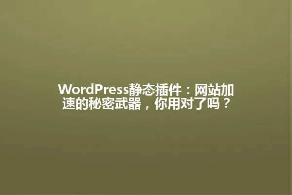 WordPress静态插件：网站加速的秘密武器，你用对了吗？ 一