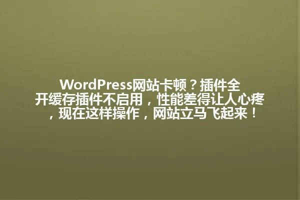 WordPress网站卡顿？插件全开缓存插件不启用，性能差得让人心疼，现在这样操作，网站立马飞起来！ 一
