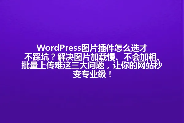 WordPress图片插件怎么选才不踩坑？解决图片加载慢、不会加粗、批量上传难这三大问题，让你的网站秒变专业级！ 一