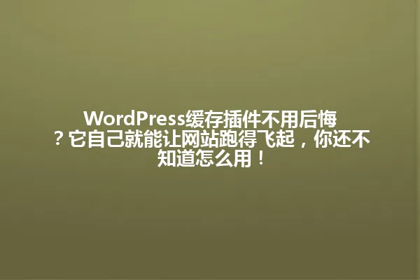 WordPress缓存插件不用后悔？它自己就能让网站跑得飞起，你还不知道怎么用！ 一