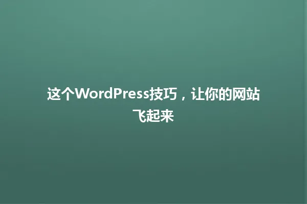 这个WordPress技巧,让你的网站飞起来 一