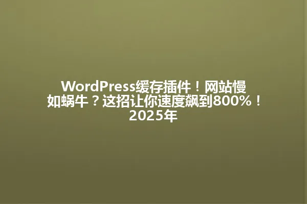 WordPress缓存插件!网站慢如蜗牛?这招让你速度飙到800%!2025年 一
